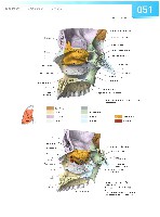 Sobotta Atlas of Human Anatomy  Head,Neck,Upper Limb Volume1 2006, page 58
